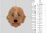 do embroidery digitizing and convert to dst, pes in 1 hour